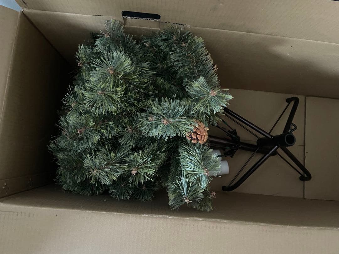 アルザスツリー