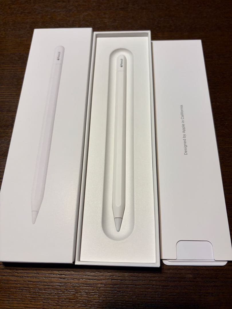 【新品同様】Apple Pencil (USB-C) 本体 アップルペンシル