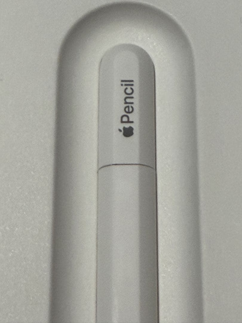 【新品同様】Apple Pencil (USB-C) 本体 アップルペンシル