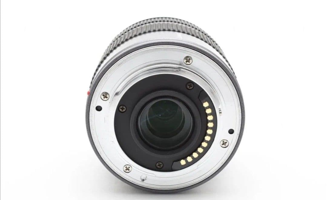 1月20日限定♪Panasonic LUMIX G VARIO 14-45mm