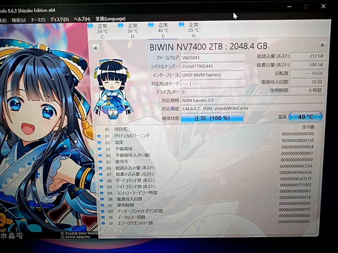 Biwin M.2 SSD2TB NVMe PCIe Gen4.0片面実装TLC