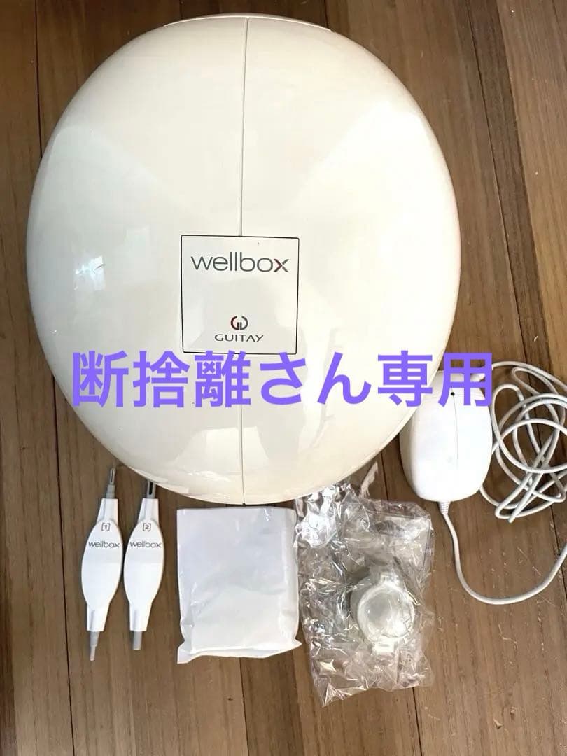 断捨離さん専用✴︎wellbox ウェルボックス　家庭用 エンダモロジー