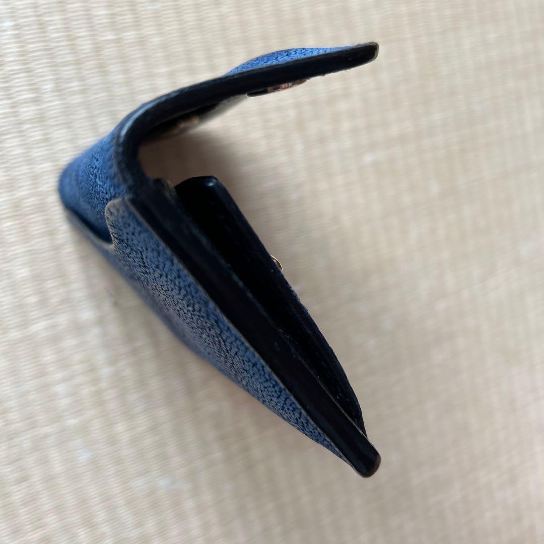 い*ん様 ワイルドスワンズ、タング、エレファント