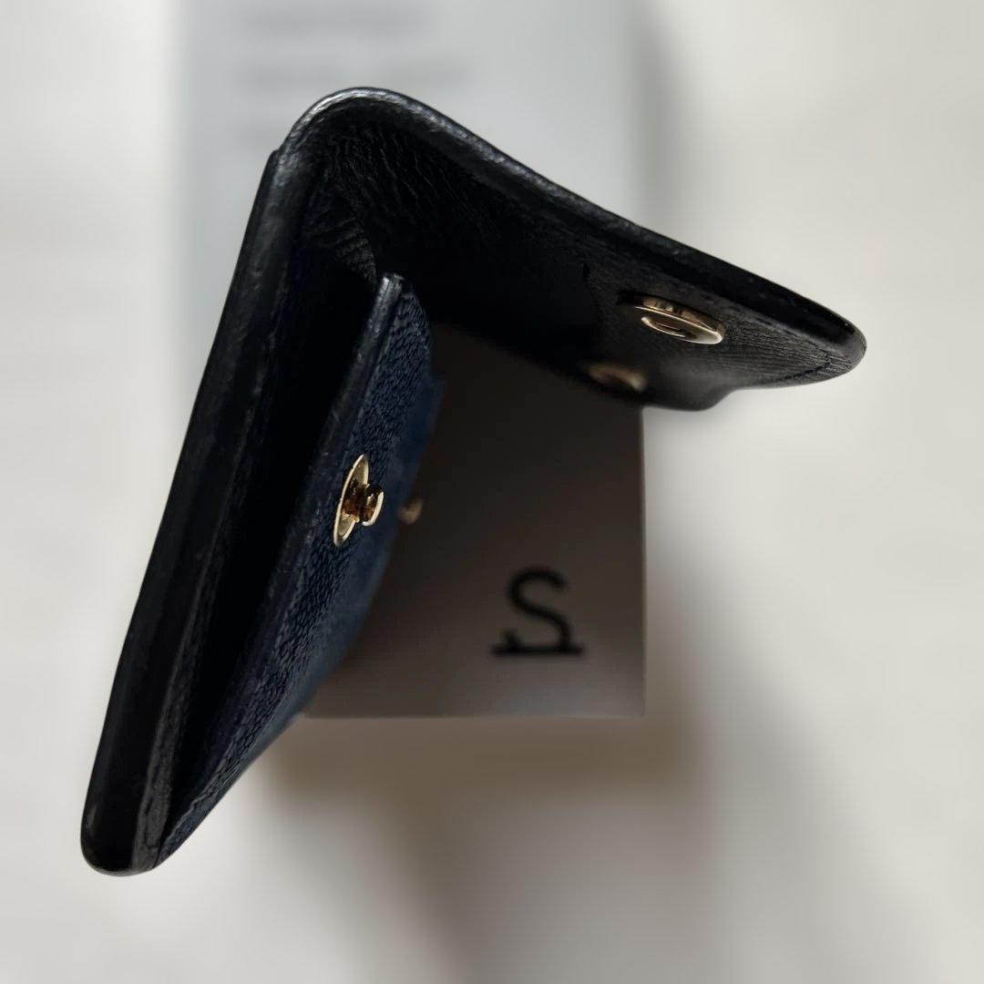 い*ん様 ワイルドスワンズ、タング、エレファント