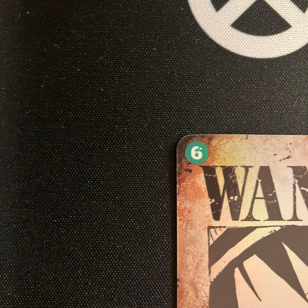 ルフィ　手配書　受け継がれる意思