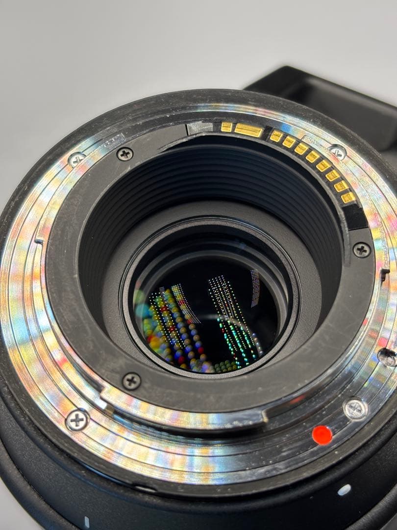 SIGMA 150-600mm Contemporary EF(USBドッグ付)