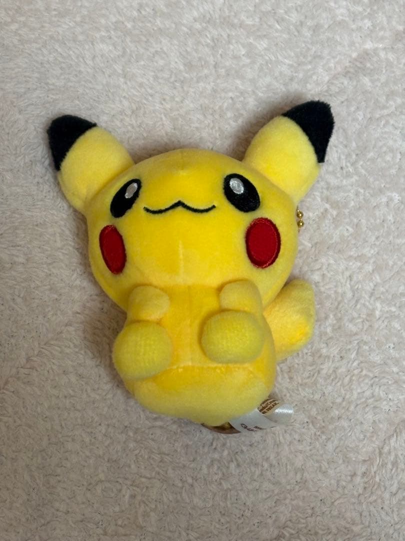 ポケモンもっちりマスコットポケモンドールズ