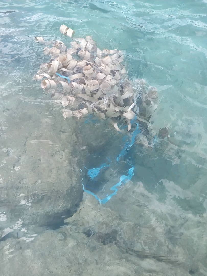 沖縄育ちのアダン葉ロール“25 Craft-Ⅵ~Ⅶ&竹製鞣し棒セット”