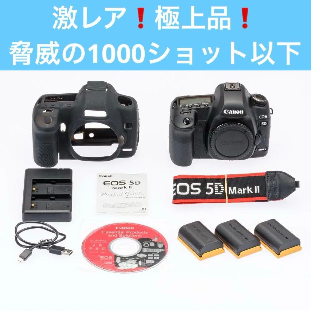 激レア！ショット数僅か734 極上動作品！ Canon 5DMARKⅡ付属品多数