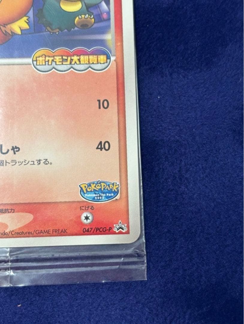 未開封　ポケパークのアチャモ 相場2万円弱！