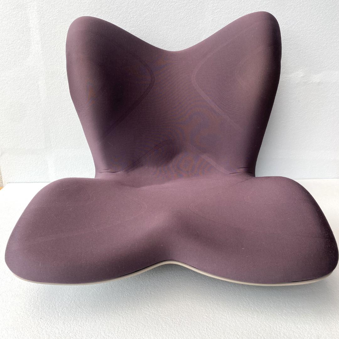 MTG STYLE PREMIUM ブラウン　スタイルプレミアム　骨盤サポート