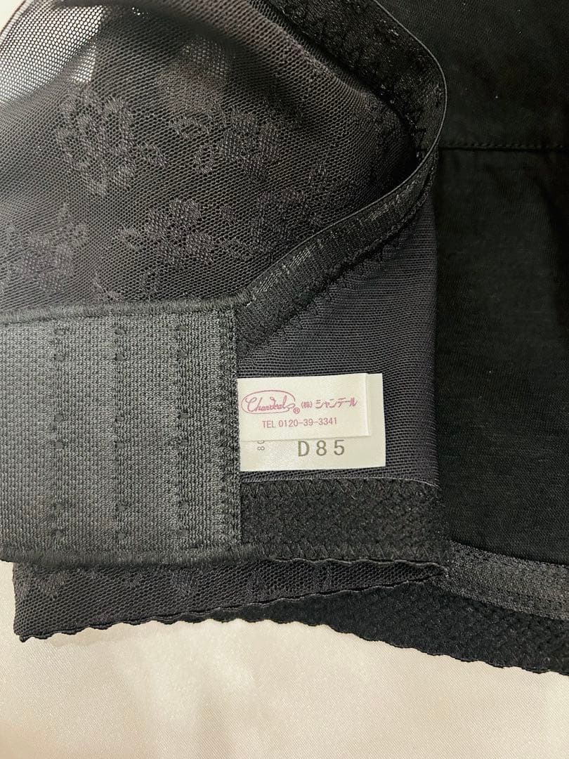 【新品•未使用】D85 シャンデール　夏ブラ　シャイニー