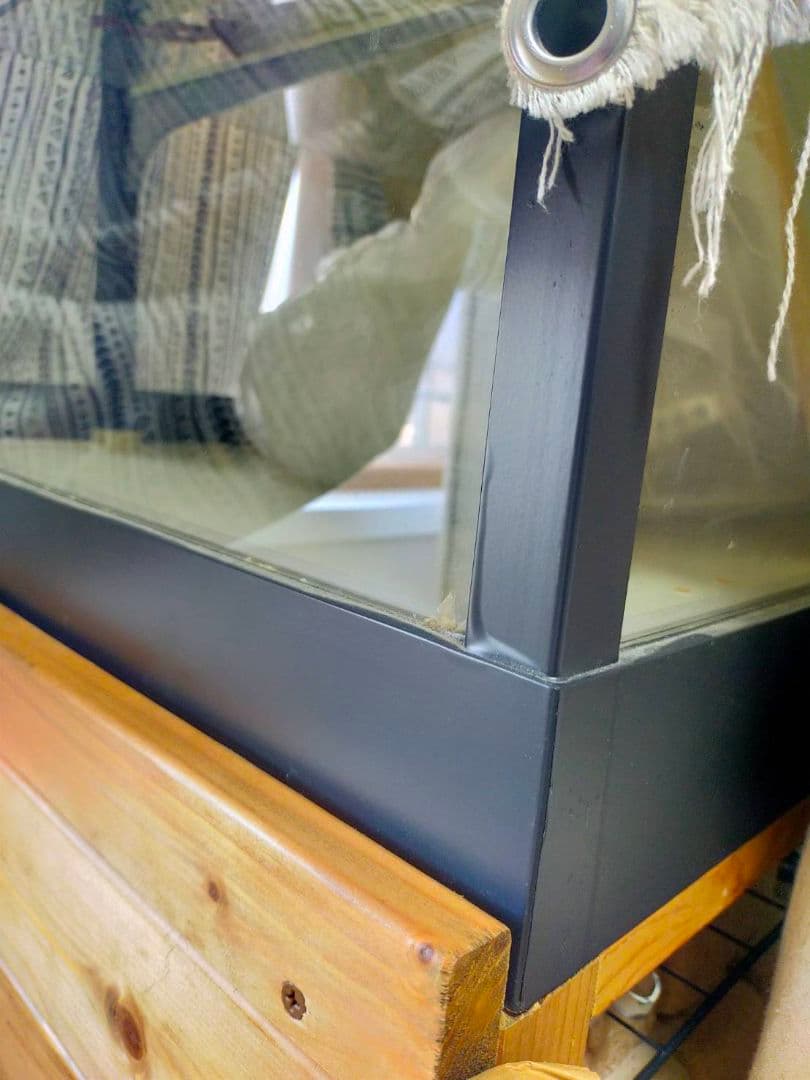 ガラスショーケース