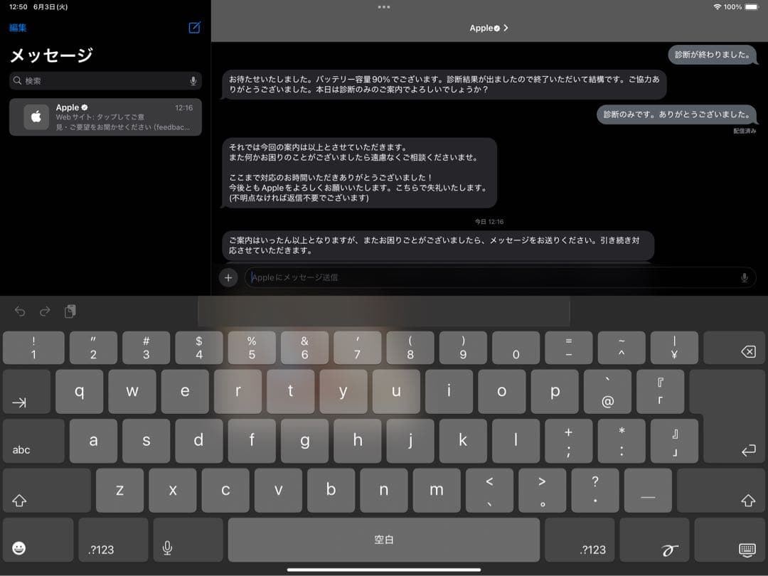 iPad Pro本体12.9インチ 128GB バッテリー最大容量90%