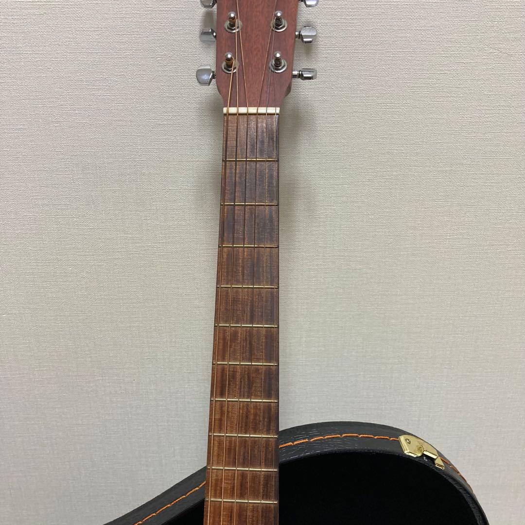 アコースティックギター Martin & Co. DXM Dreadnought