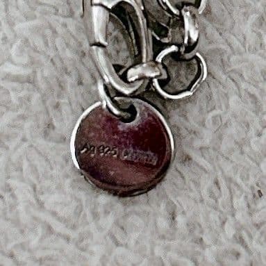 GUCCI チェーンのみ Ag925 ネックレス グッチ トップ無 アクセサリー