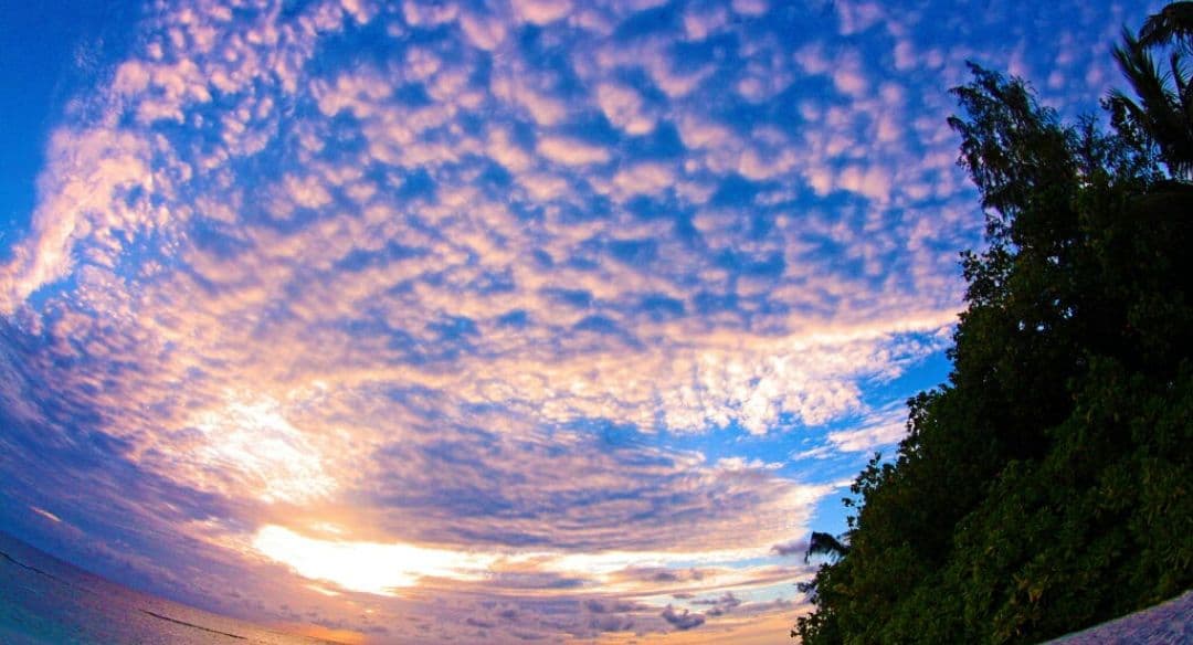 CANON　EOS　KissX　広角から望遠　一眼レフ⚡️初心者　キャノン　望遠