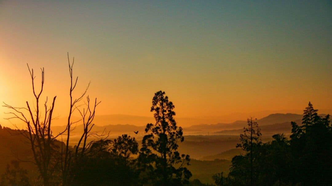 CANON　EOS　KissX　広角から望遠　一眼レフ⚡️初心者　キャノン　望遠