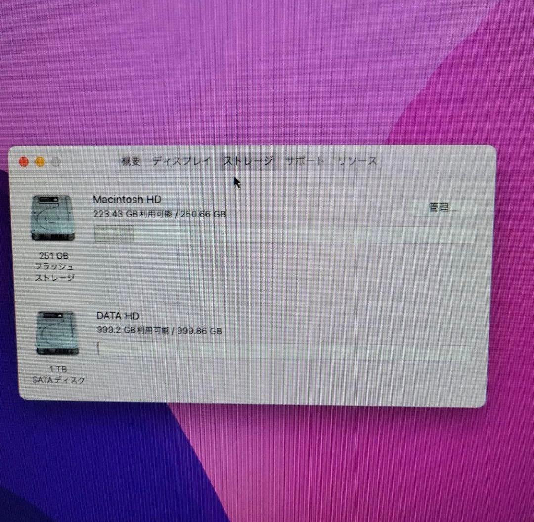 Mac mini SSD256GB/HDD1TB/メモリ8GB