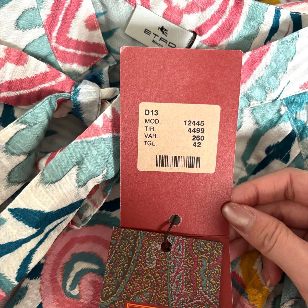 【タグ付✨】エトロ　チュニック　シャツ　ボウタイ　リボン　総柄　ワンピース　XL