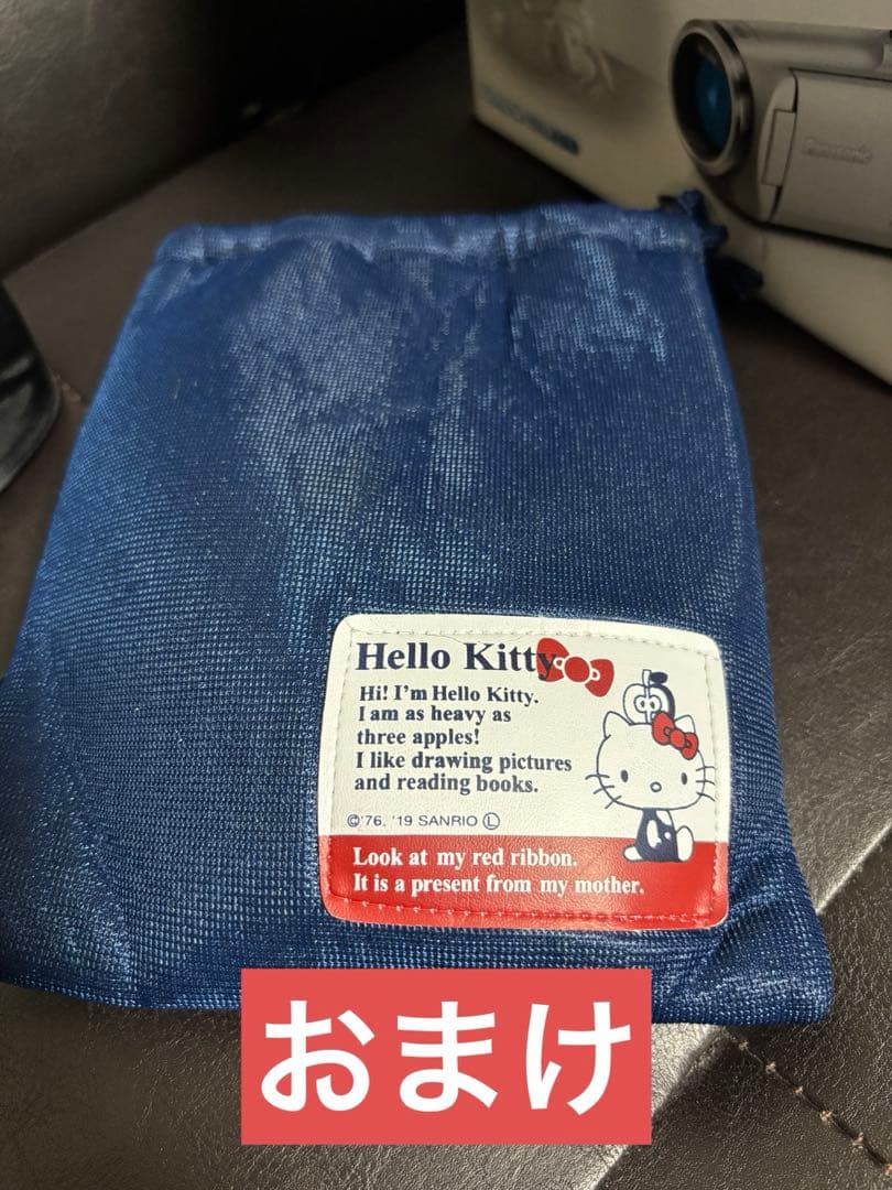 即日発送Panasonic HC-V360MS デジタルハイビジョンビデオカメラ