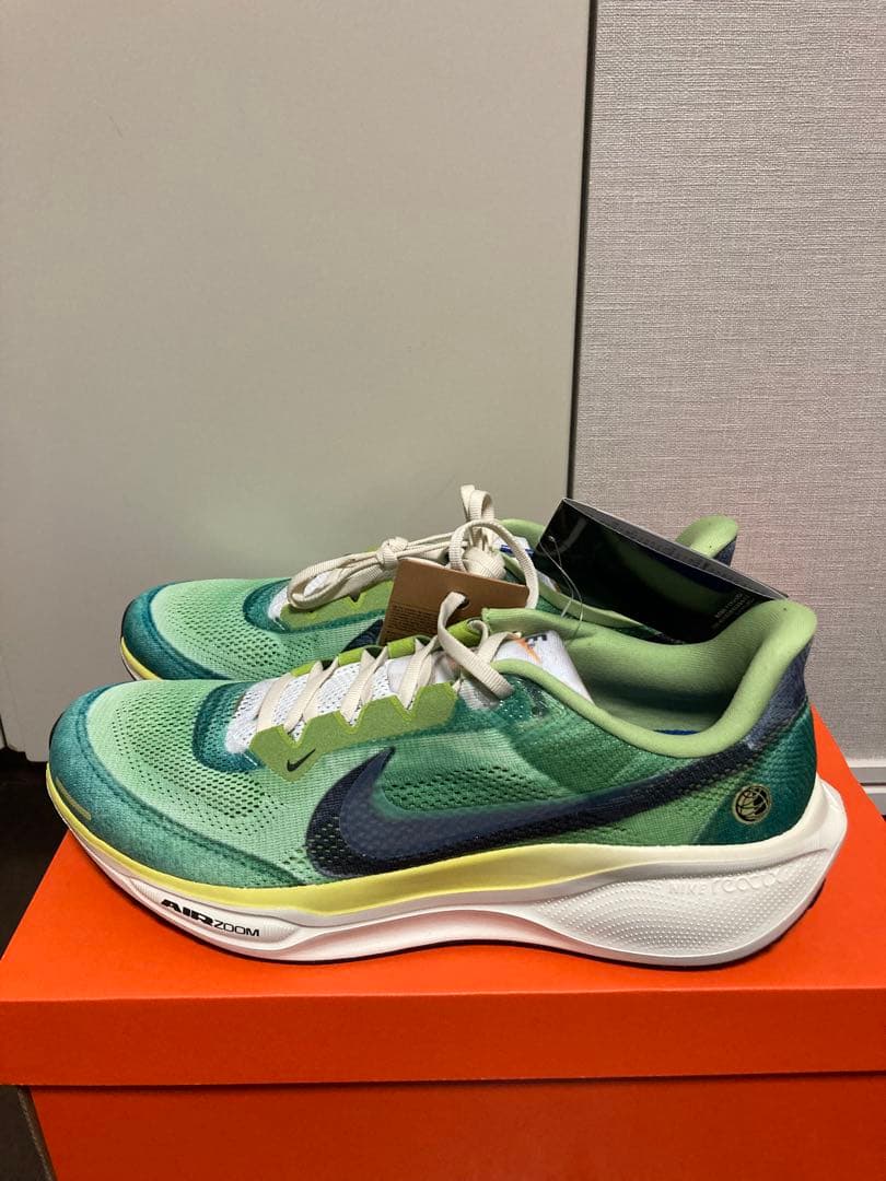 NIKE ペガサス 41 SE マルチカラー 29.5cm 新品未使用