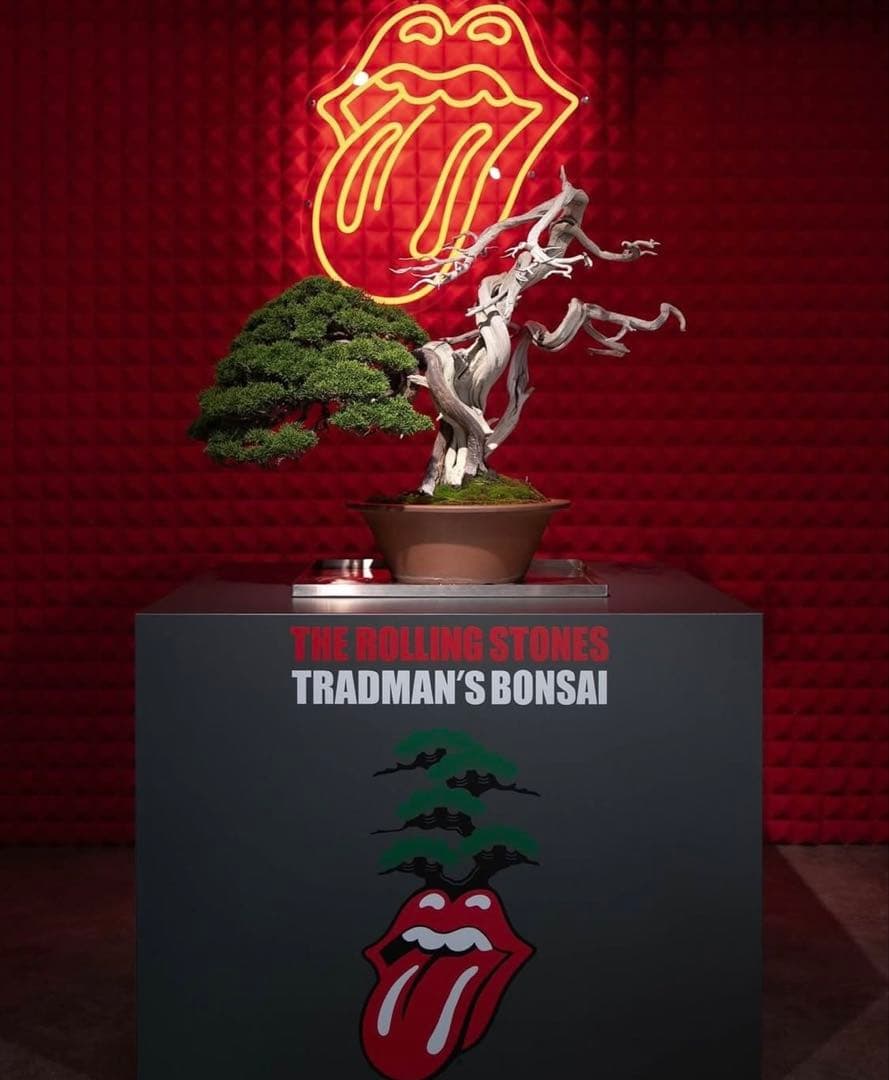 TRADMAN'S coach jacket 東京インディアンズ　rats