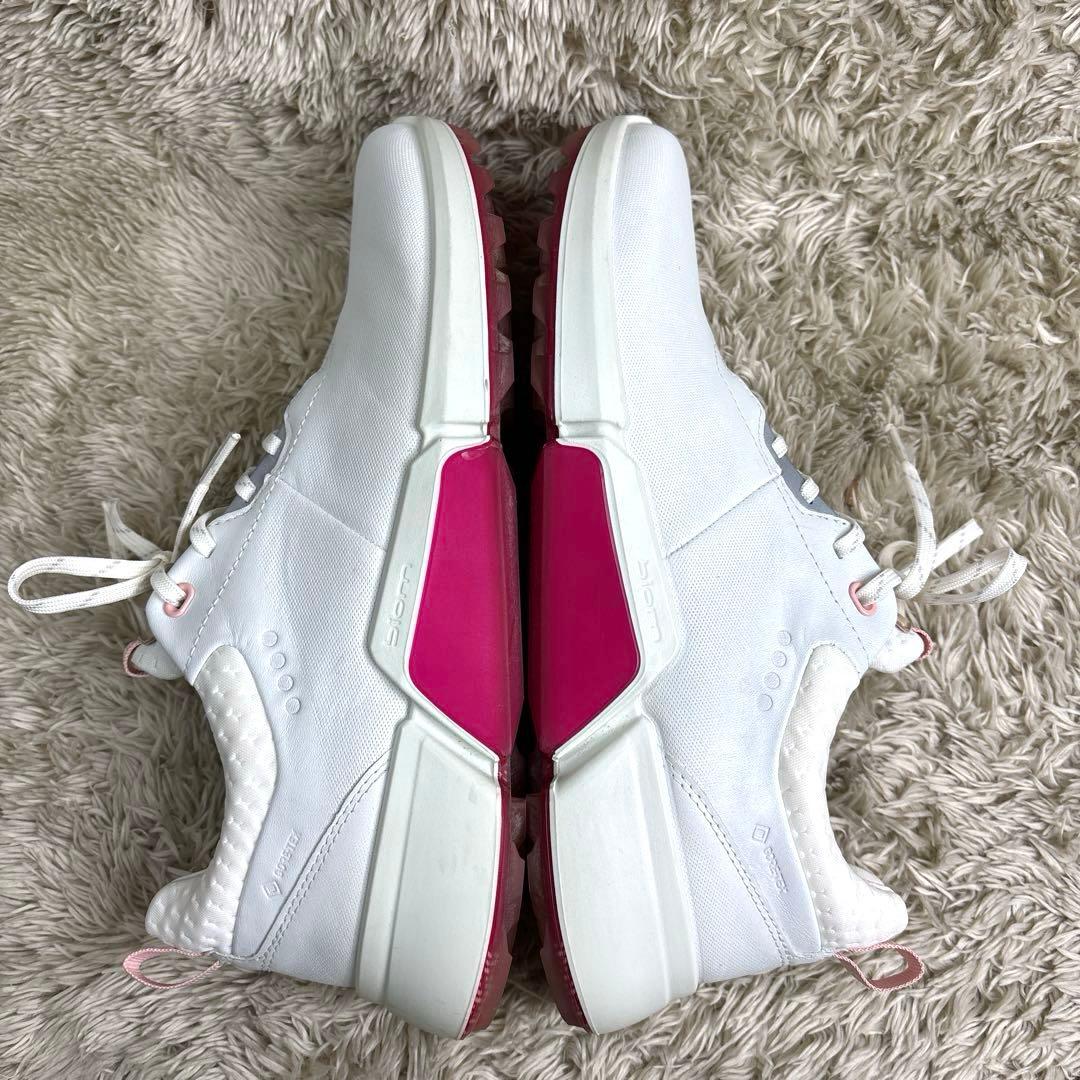 ECCO/エコー ◆バイオム HYBRIDゴルフシューズ　Gore-Tex