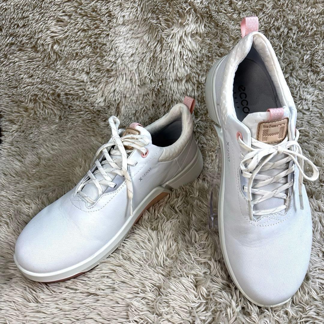 ECCO/エコー ◆バイオム HYBRIDゴルフシューズ　Gore-Tex