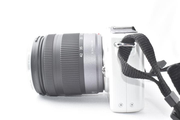 パナソニック PANASONIC LUMIX DMC-GF2 レンズキット