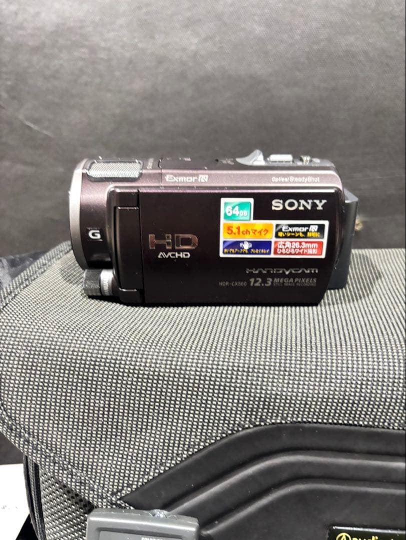 ビデオカメラ SONY HDR-CX560V(T)