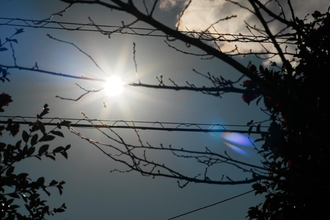 レンズ(単焦点) Contax Carl Zeiss Planar 135mm f2 AEG 69