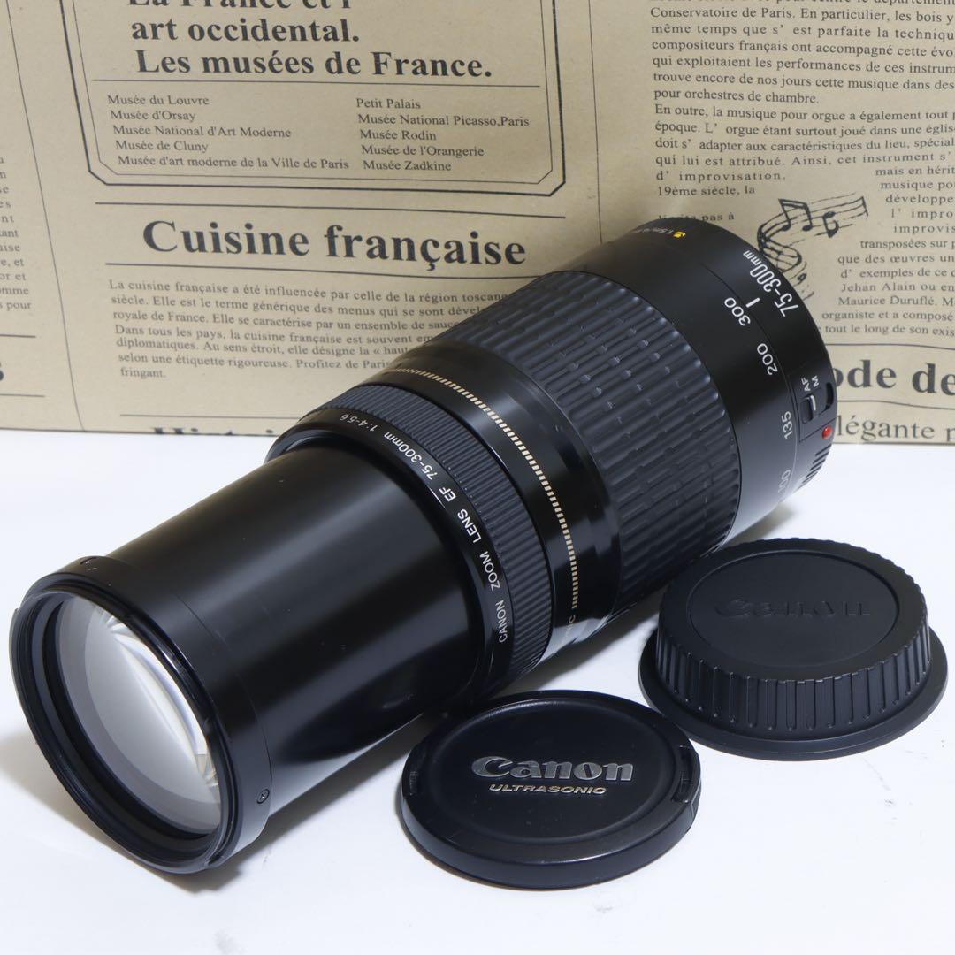 ◇ himawari ◇Canon純正 75-300mm I型 超望遠◇