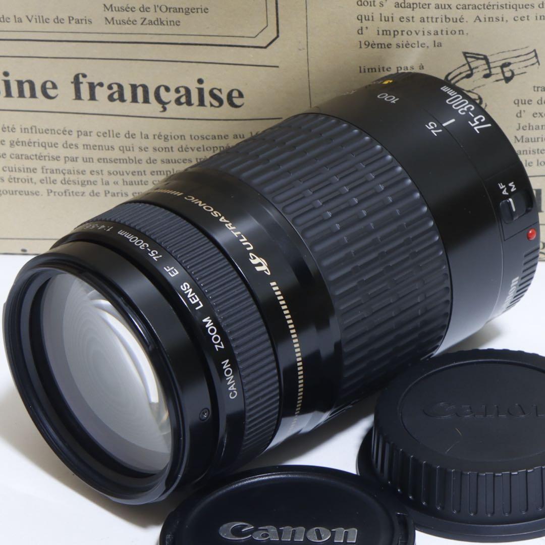 ◇ himawari ◇Canon純正 75-300mm I型 超望遠◇