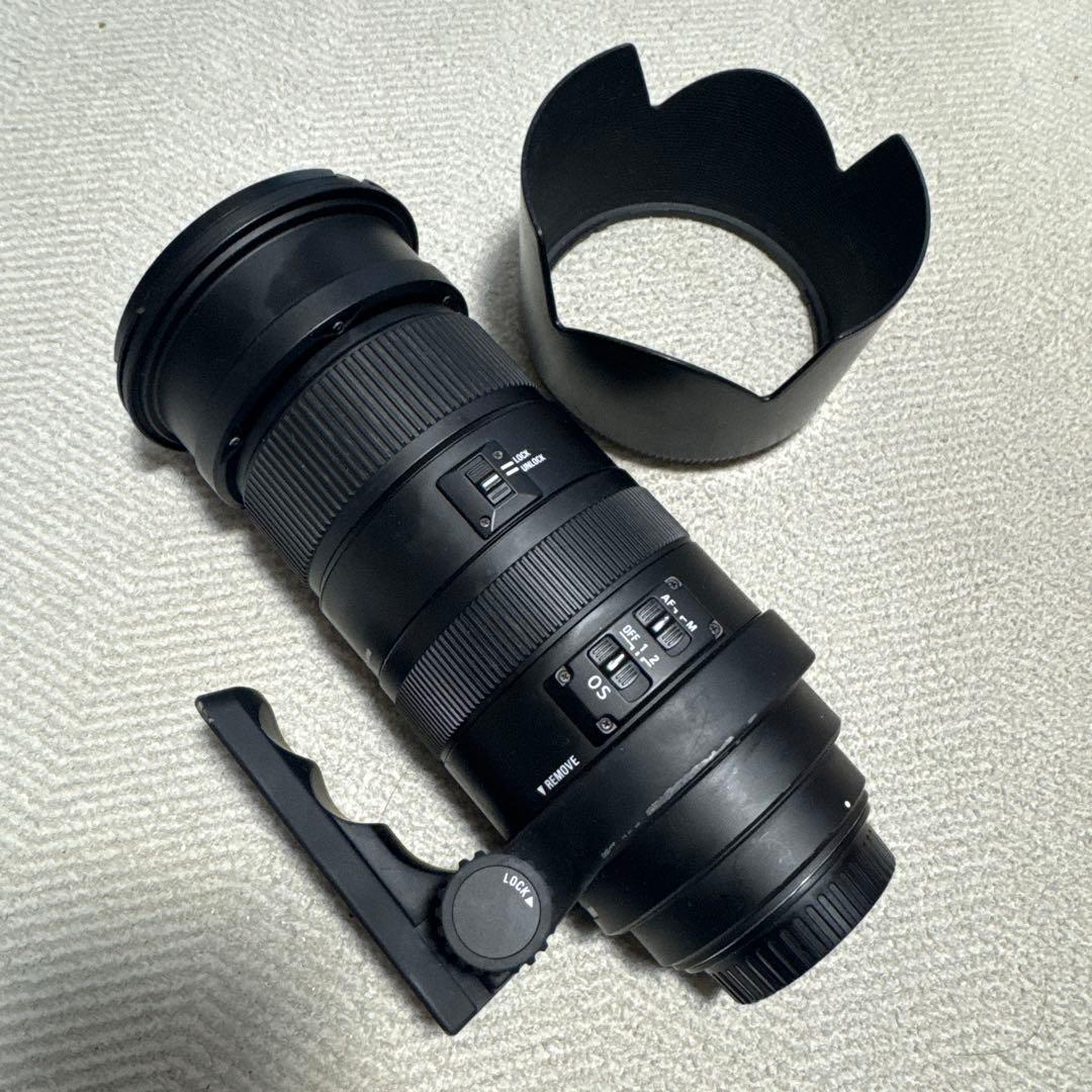 SIGMA 50-500mm F4.5-6.3 APO HSM キャノン用