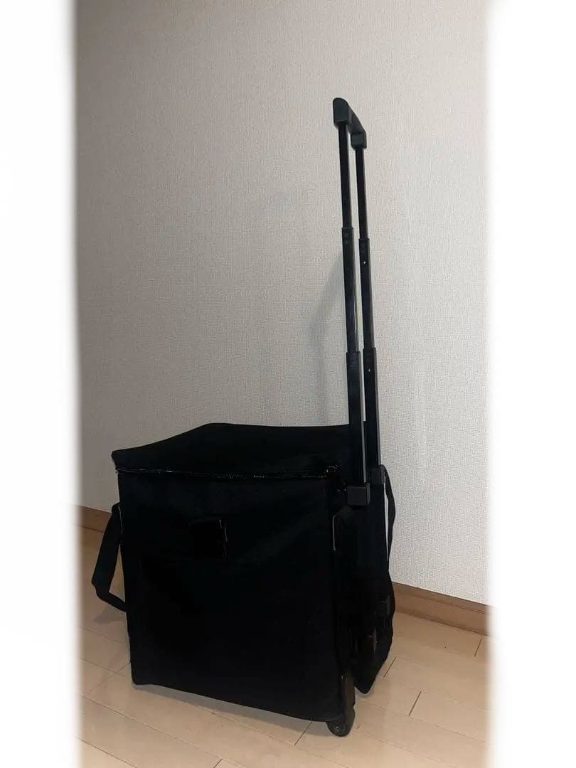 PLAYTECH レコードバック キャリータイプ