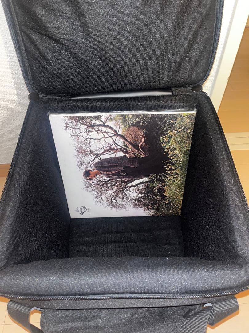 PLAYTECH レコードバック キャリータイプ