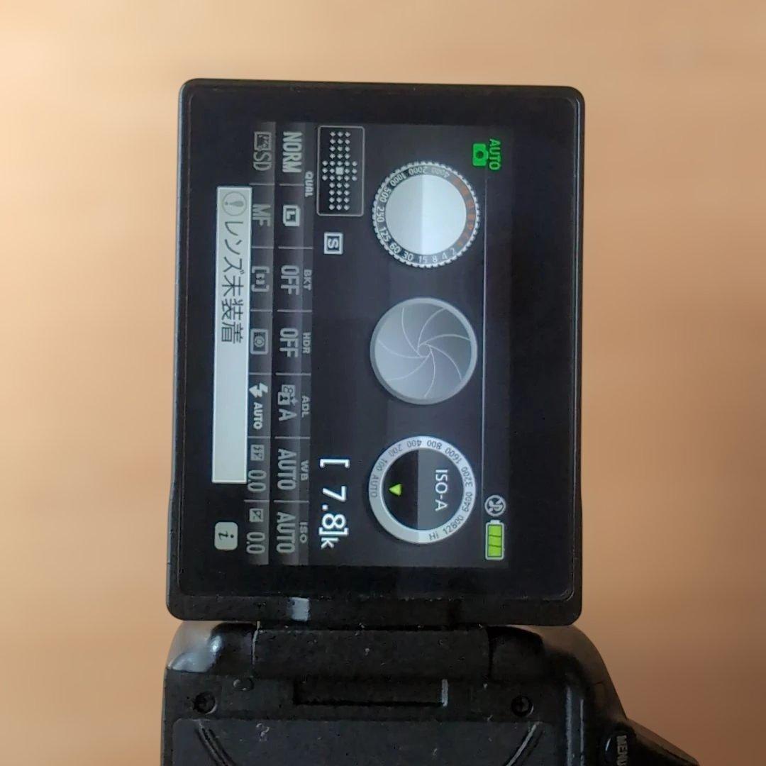 Nikon D5300 と18-140mm ズームレンズのセット