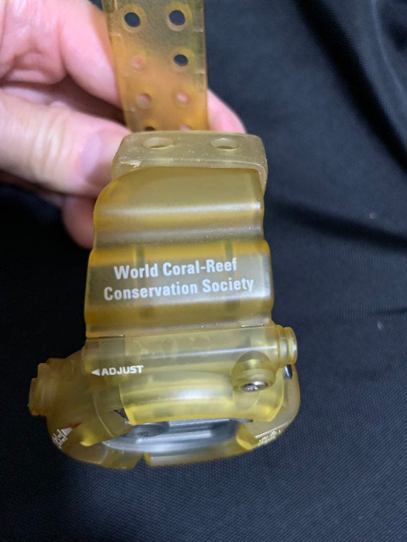 CASIO フロッグマンDW-8201WCトリプルマンタW.C.C.S