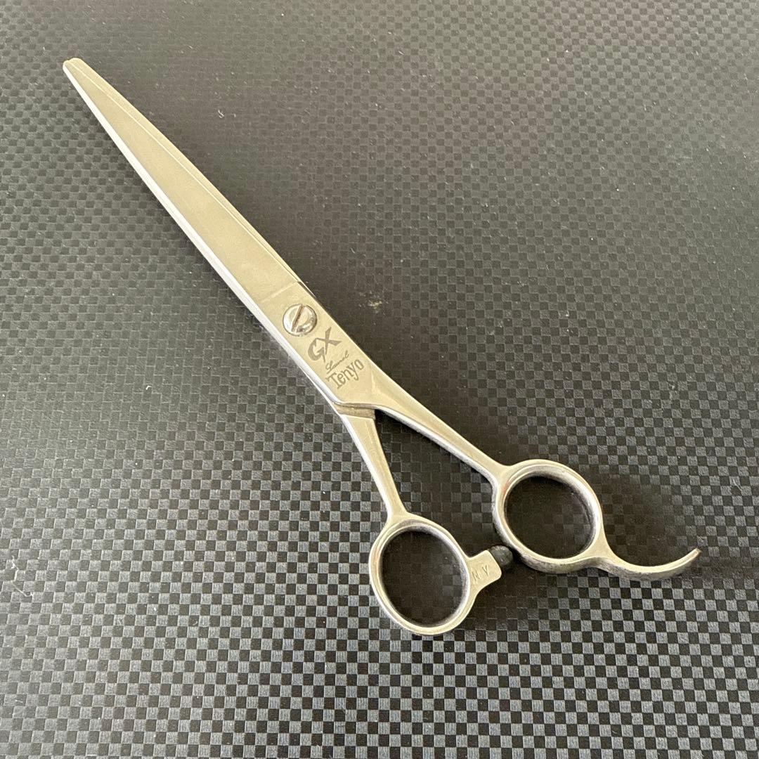 最高級 シザー ハサミ 鋏 Tenyo 天洋GX 美品！