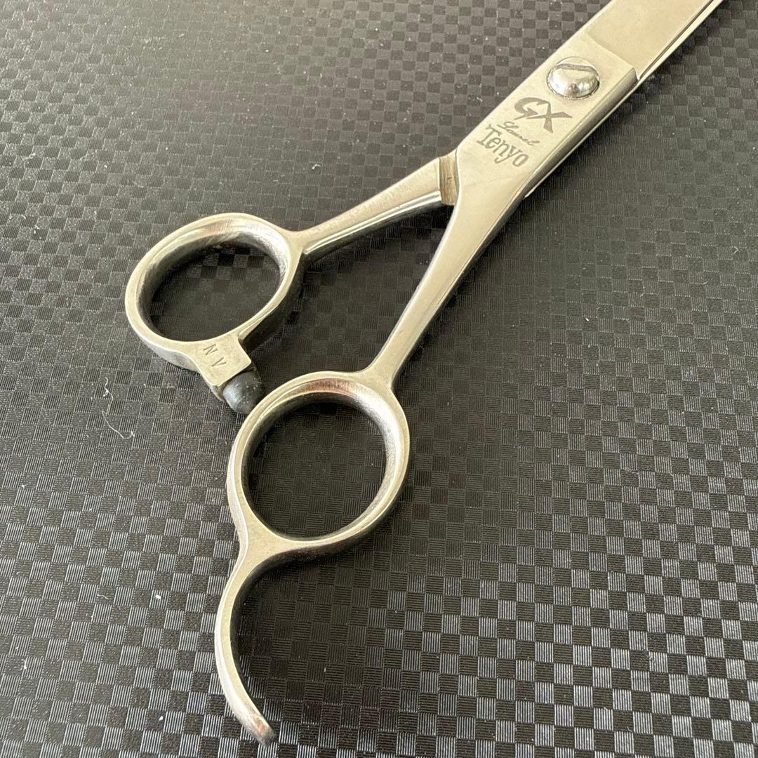 最高級 シザー ハサミ 鋏 Tenyo 天洋GX 美品！