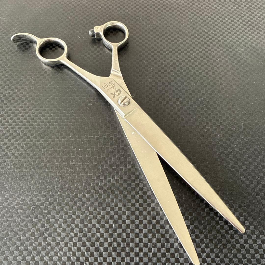 最高級 シザー ハサミ 鋏 Tenyo 天洋GX 美品！