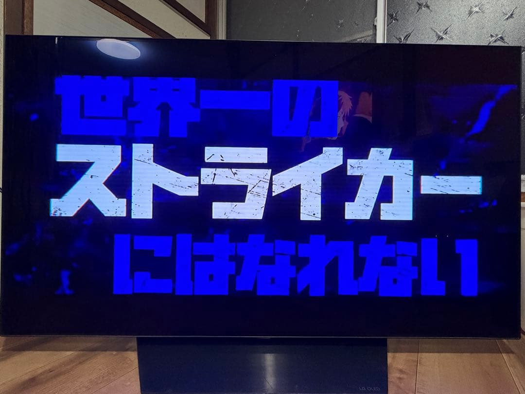 48型 有機ELテレビ LG OLED 48CXPJA