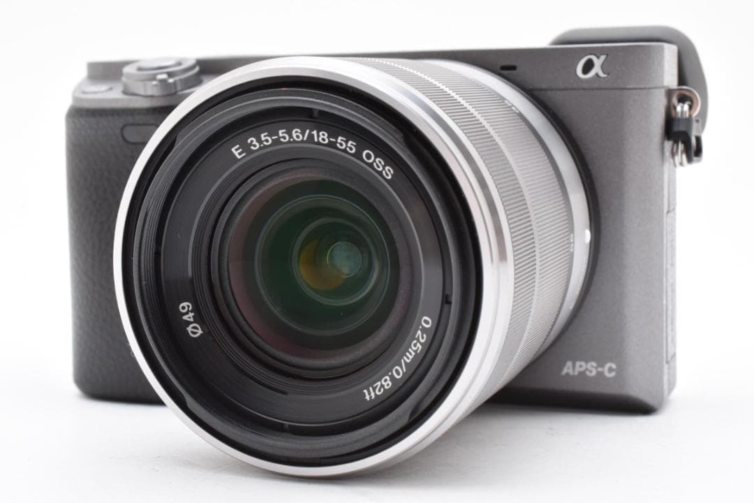 ショット数4243枚■美品■SONY α6000 グラファイト