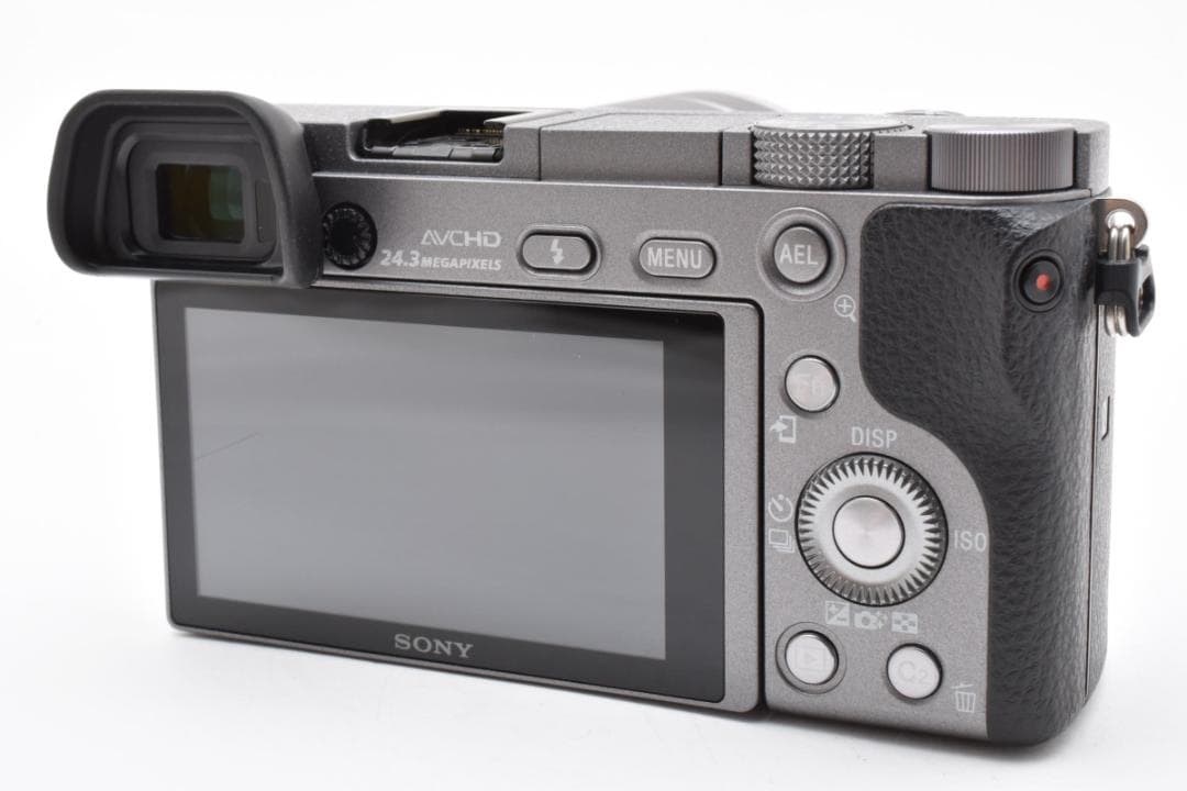 ショット数4243枚■美品■SONY α6000 グラファイト