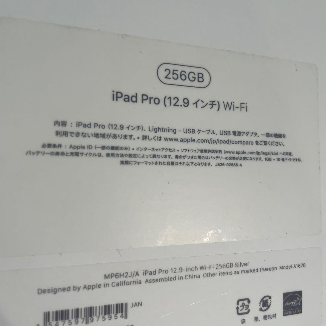 ⚫︎ iPad pro 12.9インチ 第2世代 256GB ⚫︎バッテリー91%