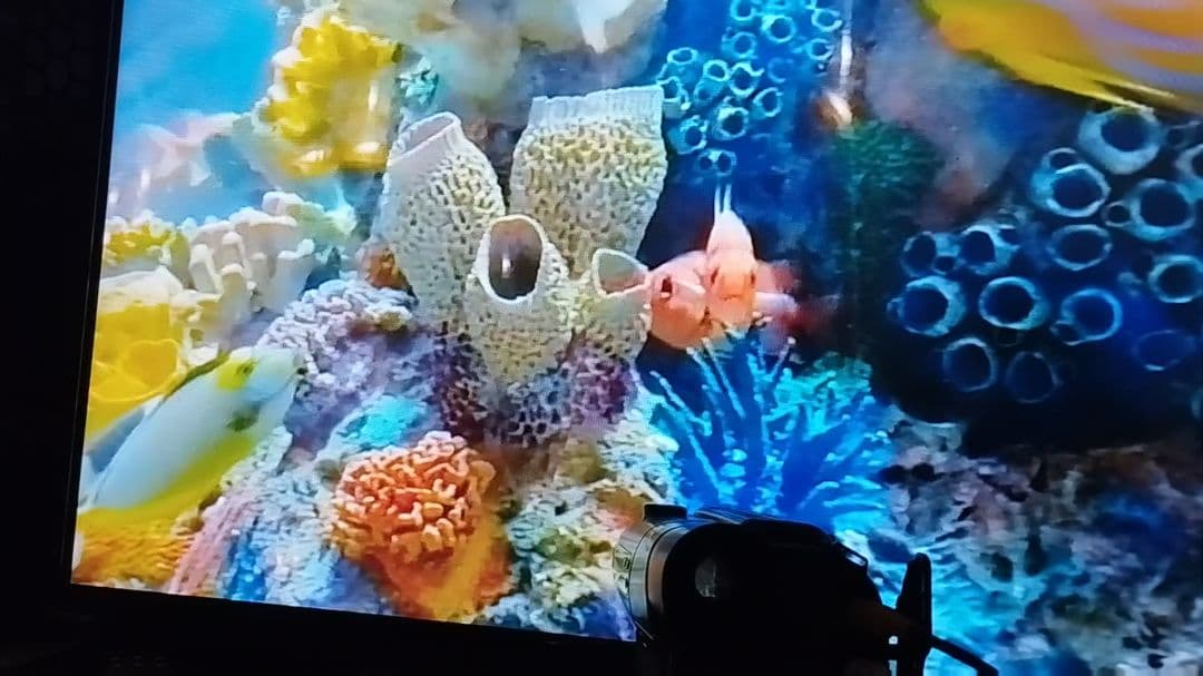 ソニー　8ミリビデオカメラ　Hi8対応 CCD-TR2　ダビング◎