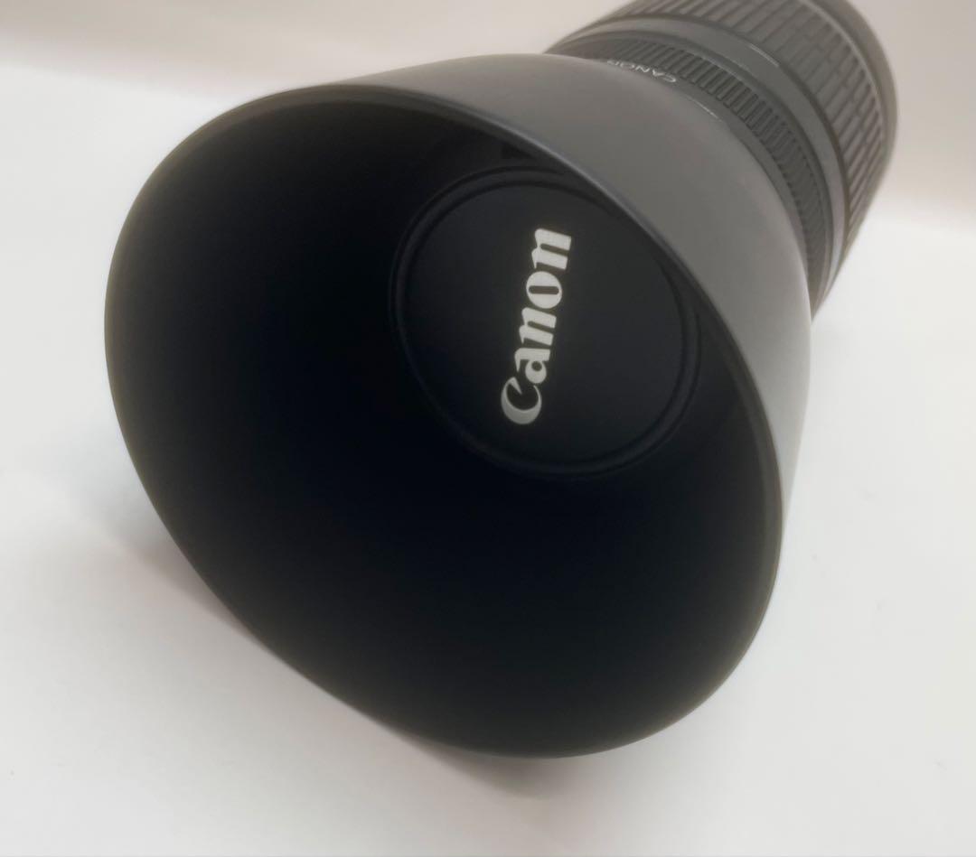 値下げ❗️Canonキャノン EFS55-250mm望遠レンズ 作動確認済み