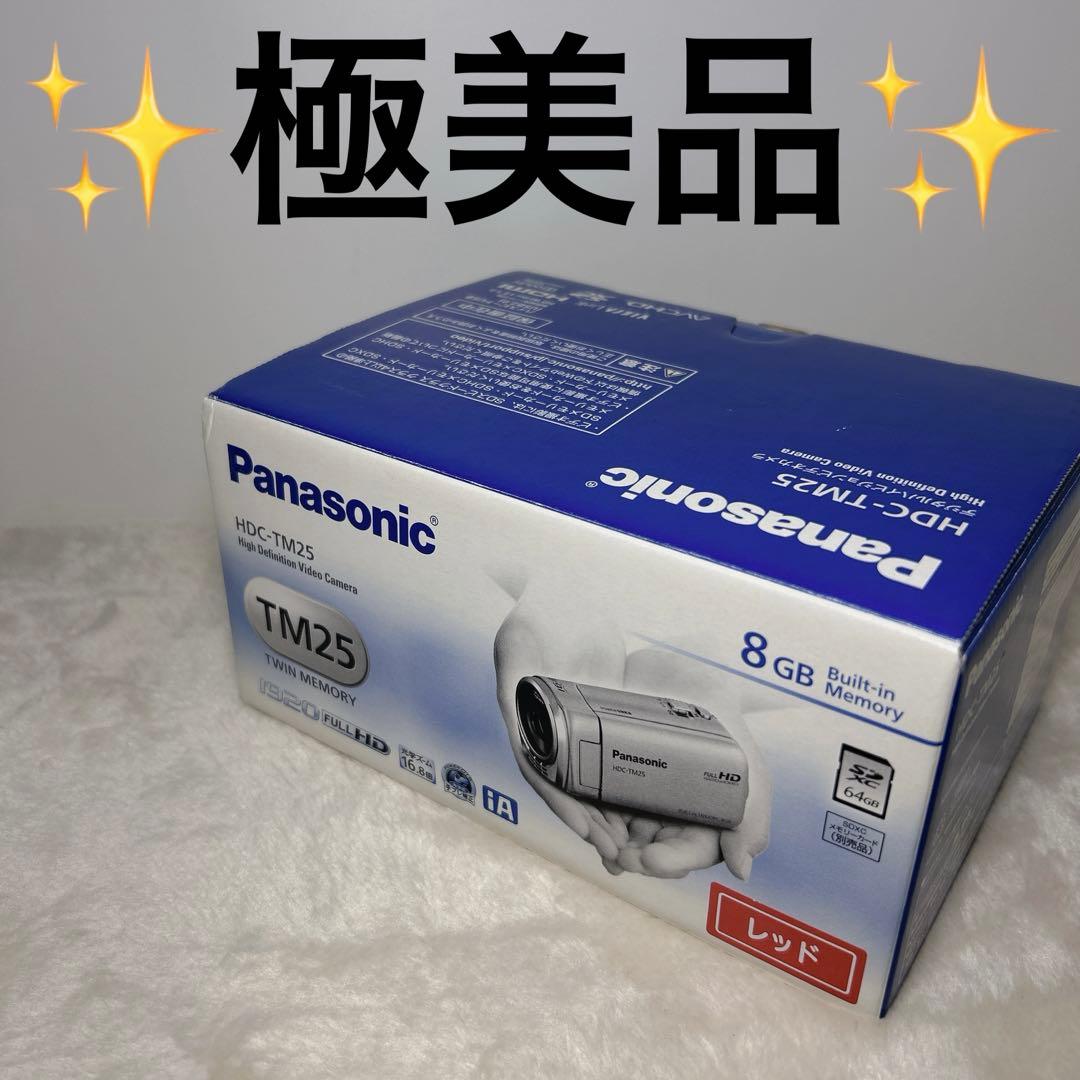 【極美品】Panasonic HDC-TM25 ビデオカメラ 8GB