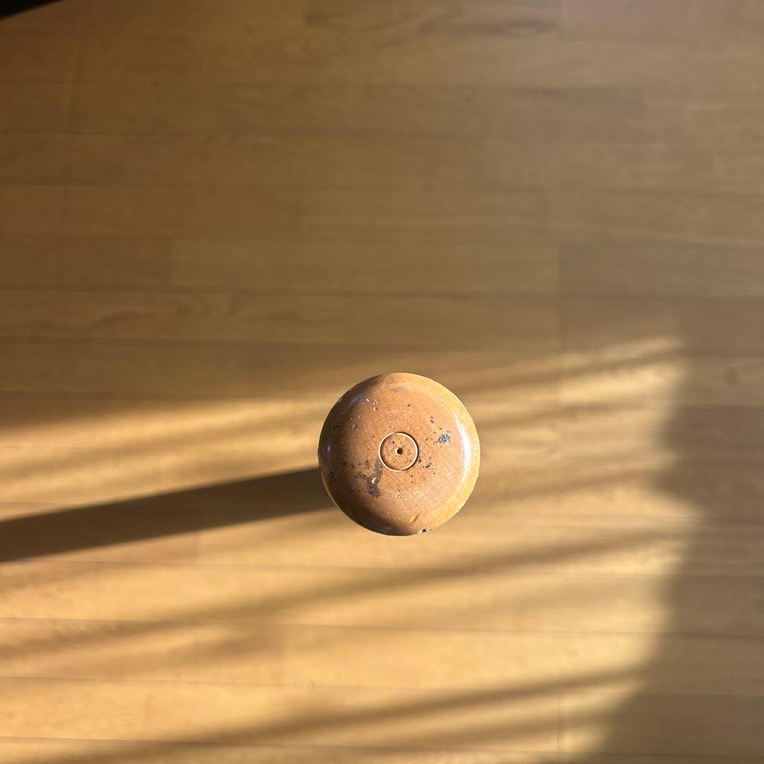 ビクタスバット